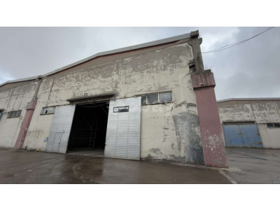 WhatsApp Image 2026-03-30 at 20.43.26 (3).jpeg